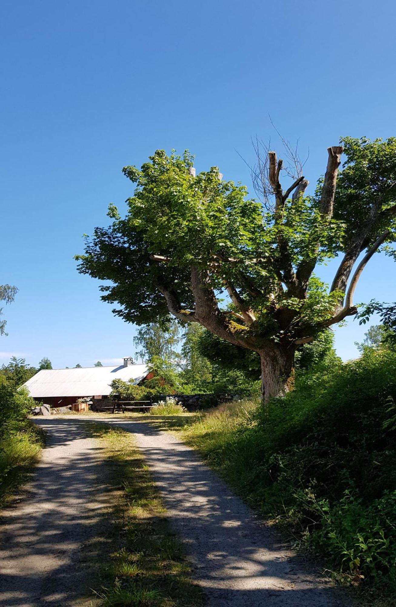 Stroenhult Farmhouse By The Lake Stronhult エクステリア 写真